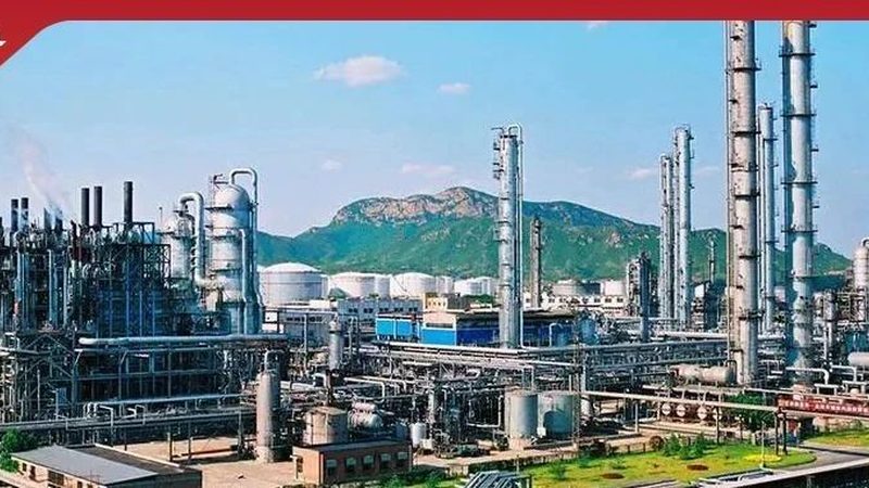造纸化学助剂：揭秘其价格背后的因素**