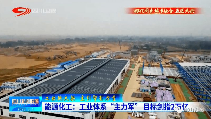 增稠剂应用中的关键步骤与潜在风险**